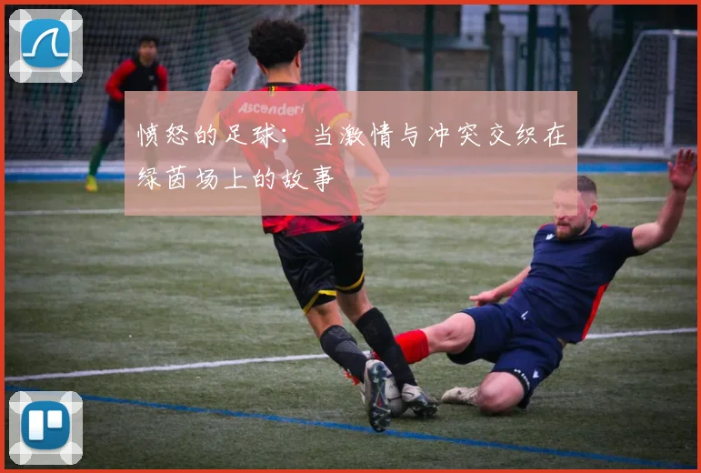 愤怒的足球：当激情与冲突交织在绿茵场上的故事