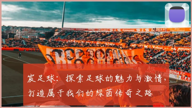 宸足球：探索足球的魅力与激情，打造属于我们的绿茵传奇之路