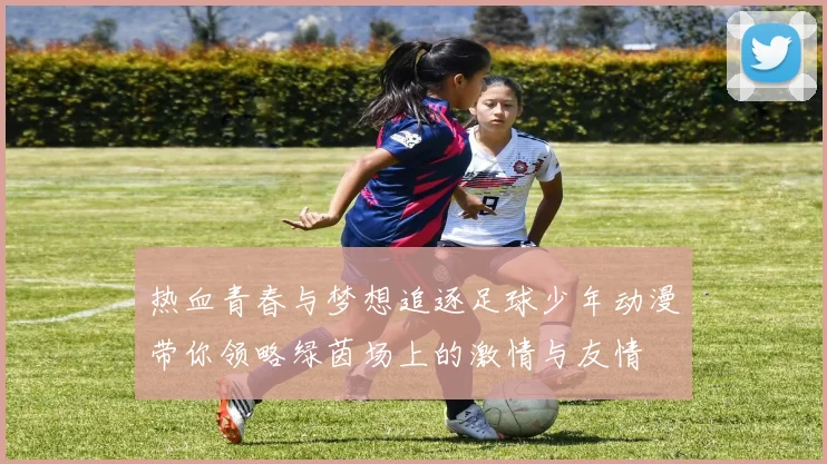 热血青春与梦想追逐足球少年动漫带你领略绿茵场上的激情与友情