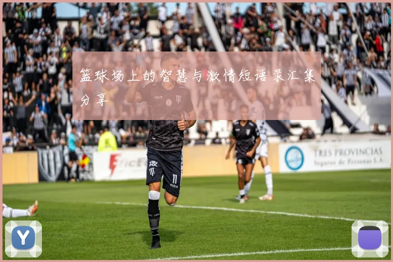 篮球场上的智慧与激情短语录汇集分享